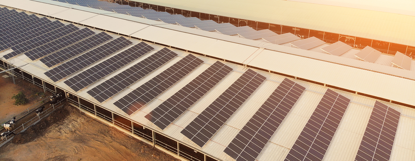 Paneles Solares Solify para tu Empresa 