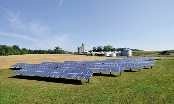 Vista de unos paneles solares instalados en el terreno verde de una granja