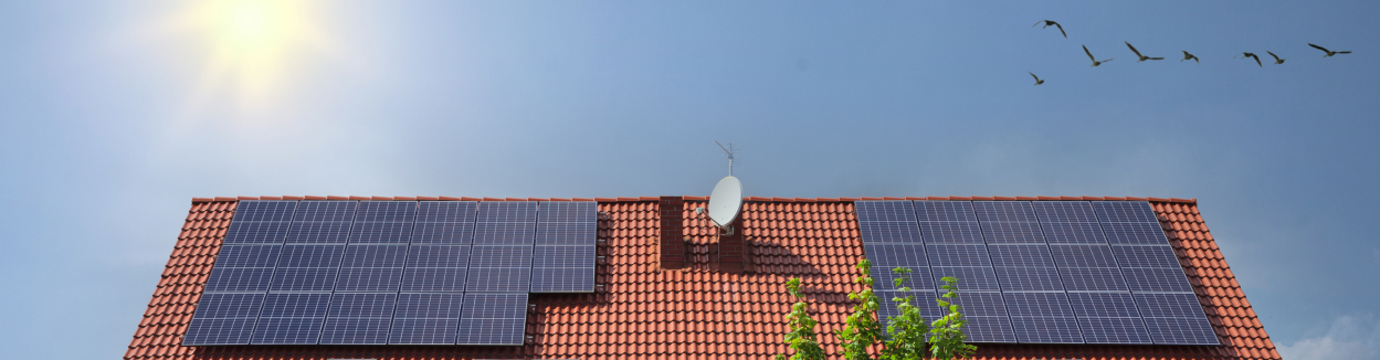 Hora solar pico: aumenta el rendimiento de tus paneles solares  