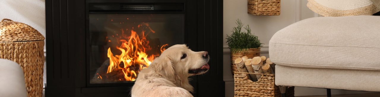 chimeneas electricas como funcionan